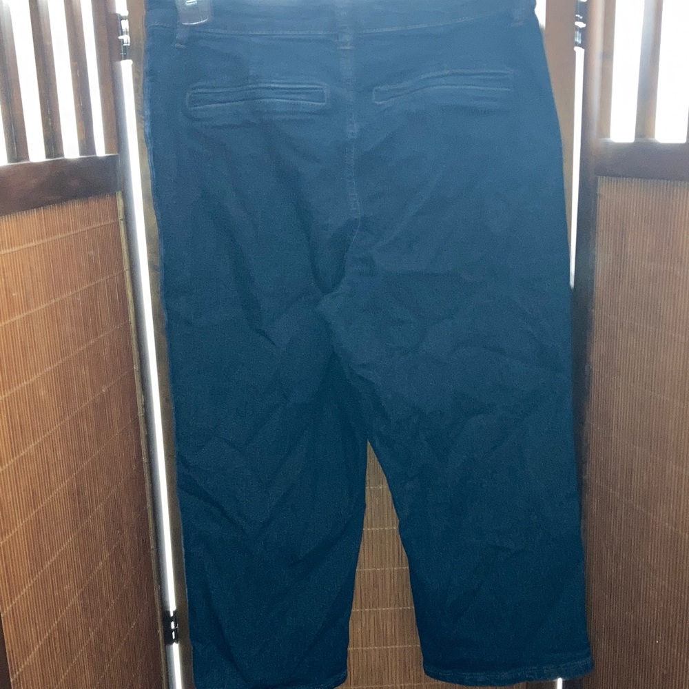 Rachel Zoe‎ Capris 8